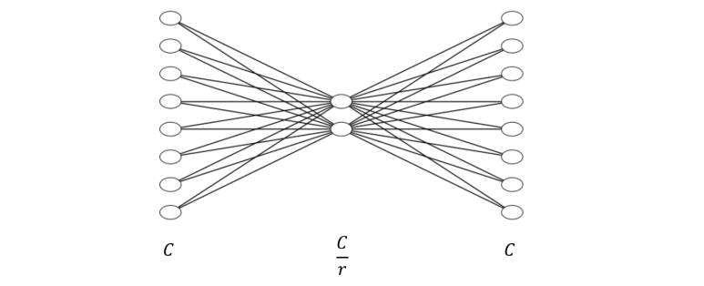 Excitation Layer